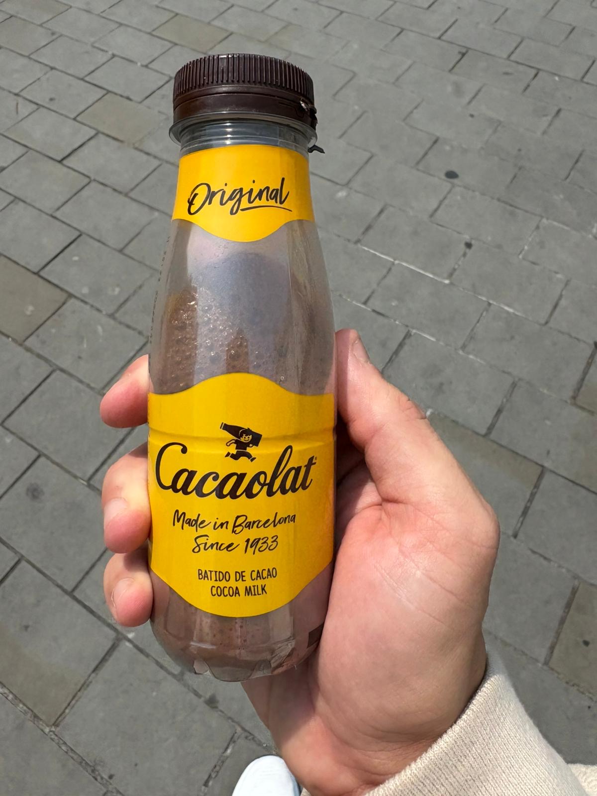 Cacaolat Cocoa Milk